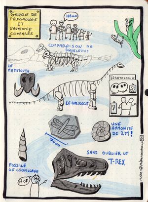Galerie de Paleontologie (2021-12-03)